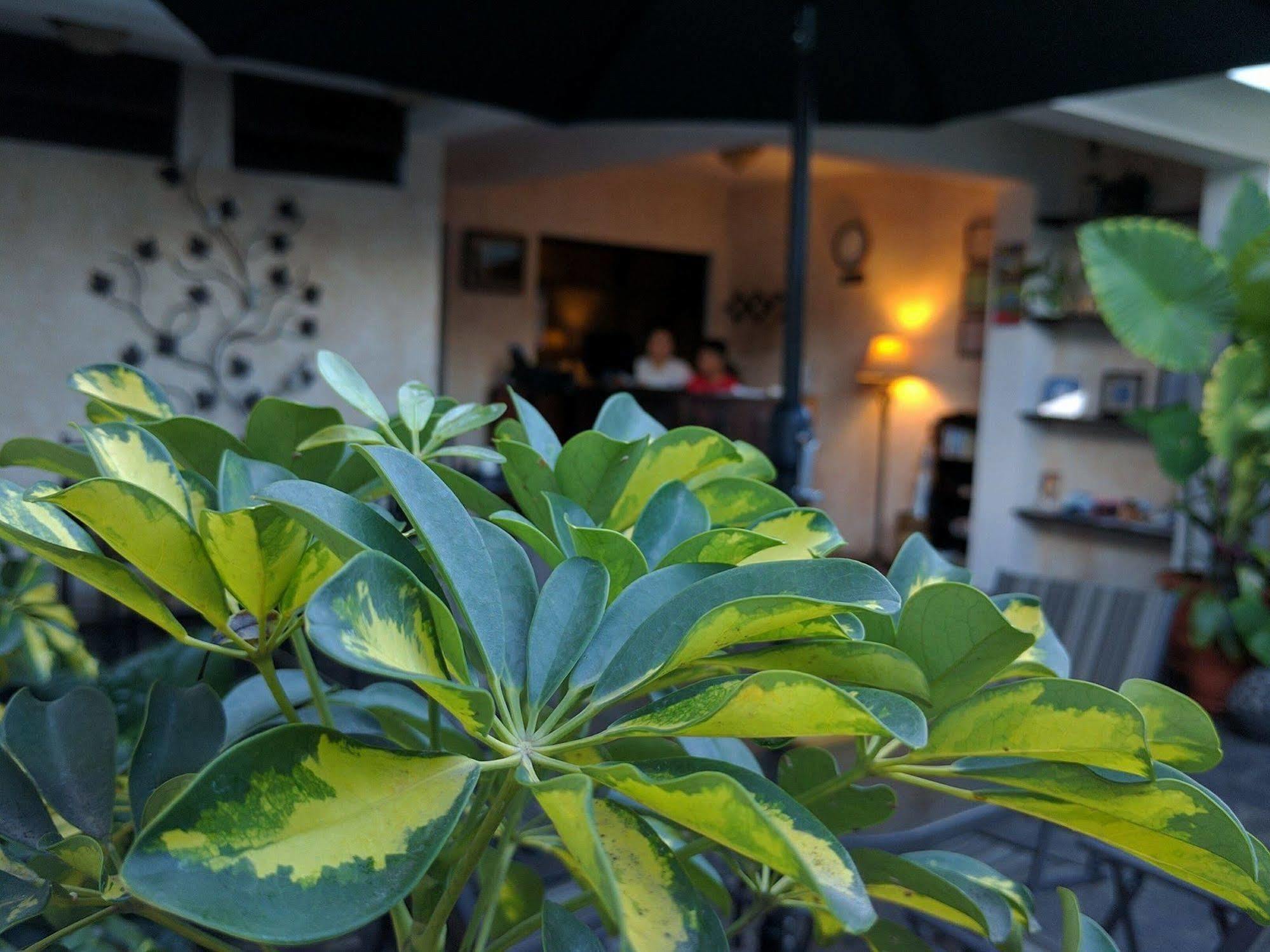 Hotel Posada De La Luna Antigua ภายนอก รูปภาพ